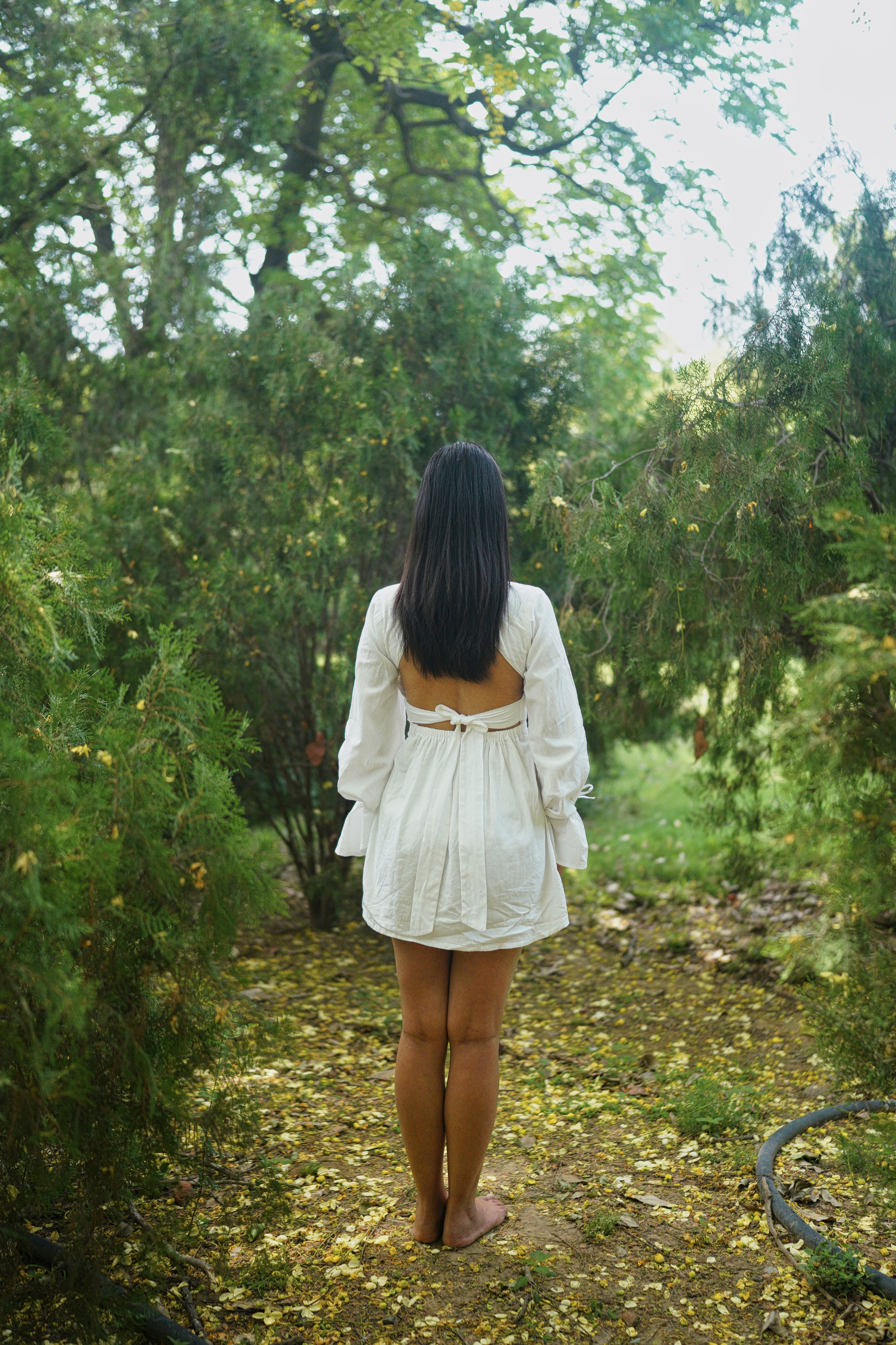 thumbnail 3 border-2 border-gray-300