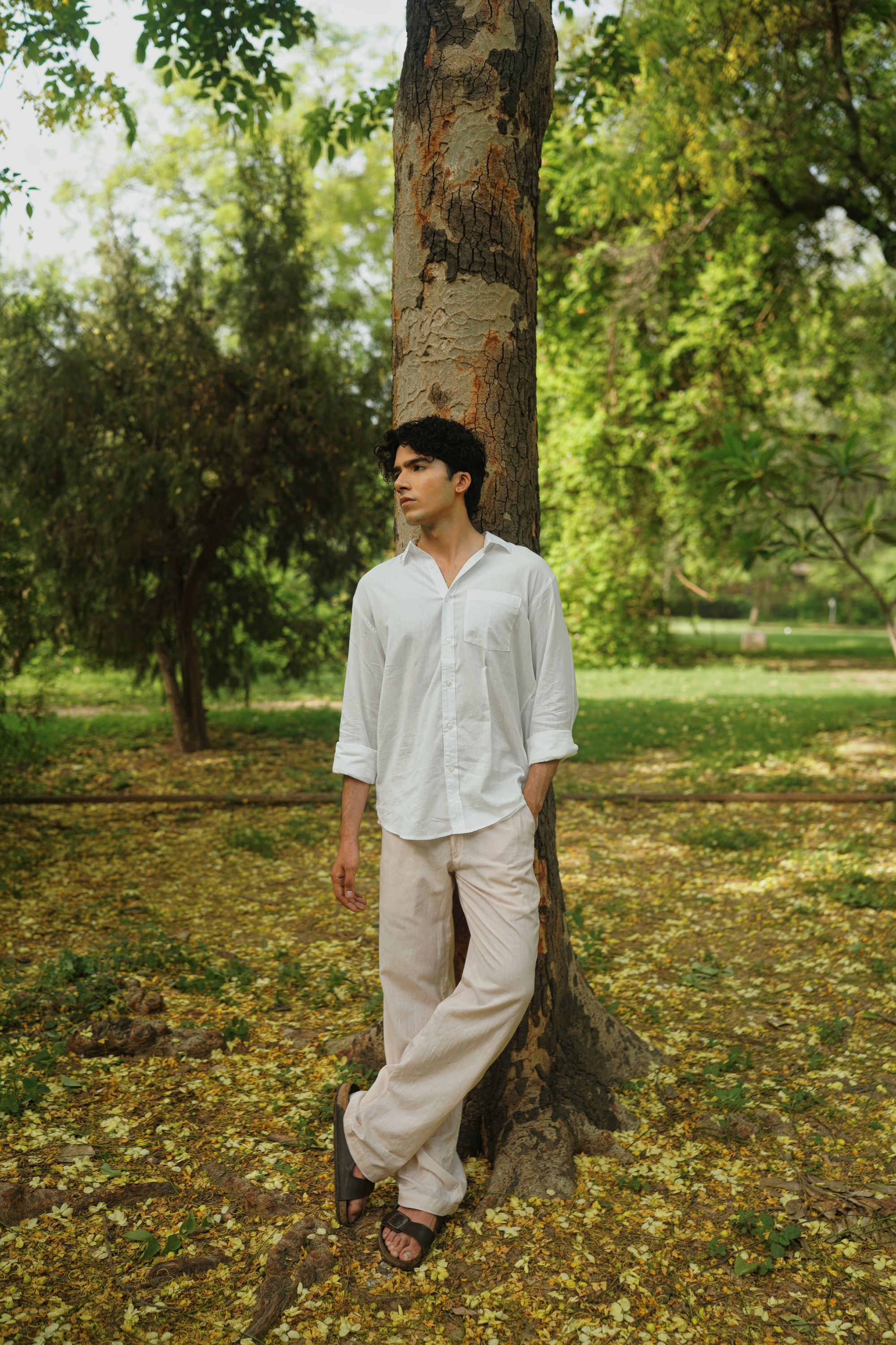 thumbnail 3 border-2 border-gray-300